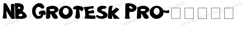 NB Grotesk Pro字体转换